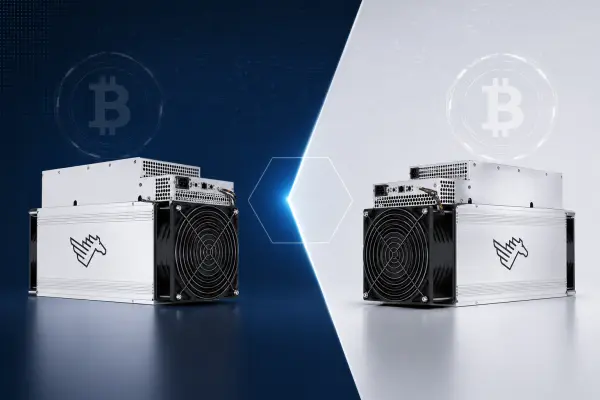 WhatsMiner M60 vs M66 — Полный Разбор Спецификаций
